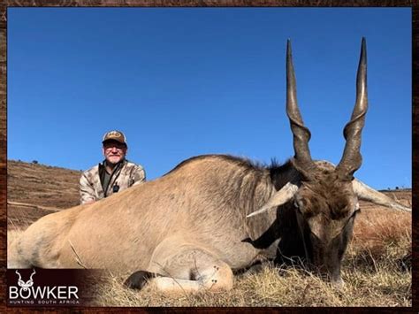  The Great Eland Hunt -  An Explosion of ochre and a Dance of Ancient Hunters