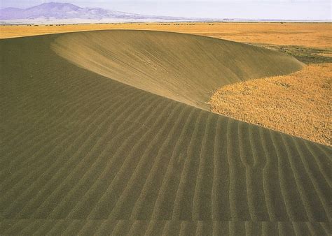  The Enigma of Shifting Sands : An Exploration into Efraín Cuervo's Surreal Landscapes